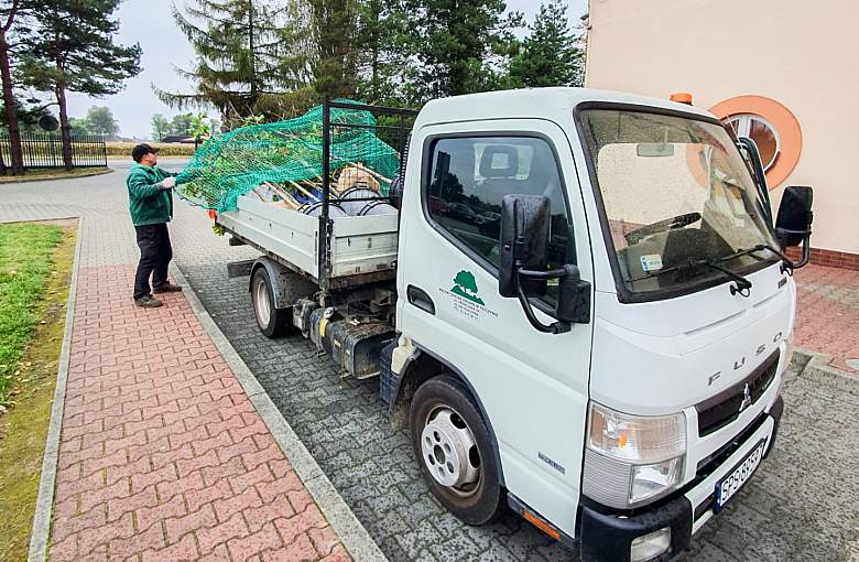 Będą kolejne nasadzenia przy szkołach