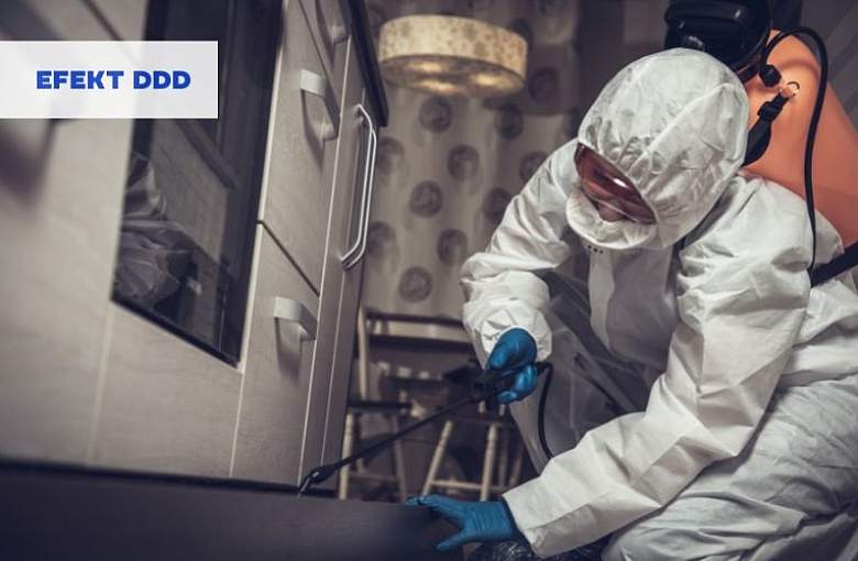 Jak_wybrac_dobra_firme_DDD