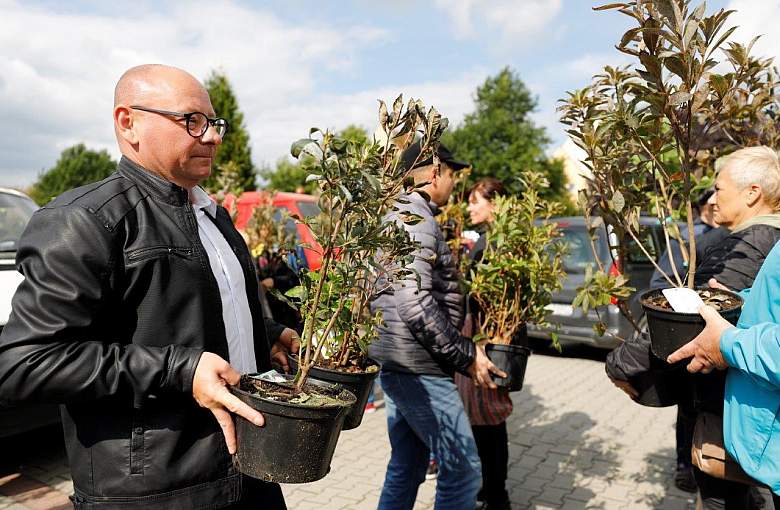Czas zazielenić i pokolorować Pszczynę