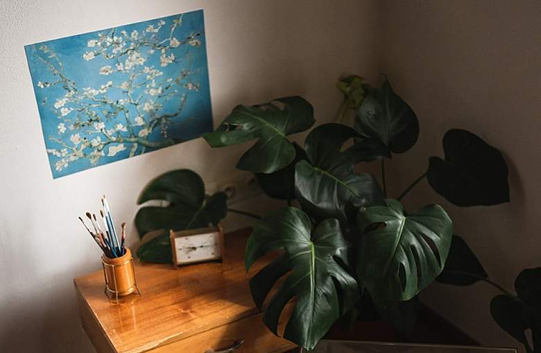 Jak dobrać rozmiar plakatów na ścianę?