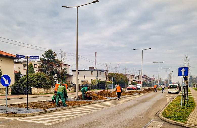 Pracownicy Miejskiego Zakładu Zieleni sadzą kwiaty na terenie miasta