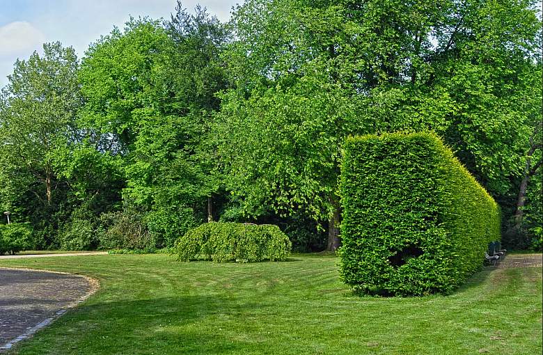 Idealne urządzenia czyszczące dla Twojego domu
