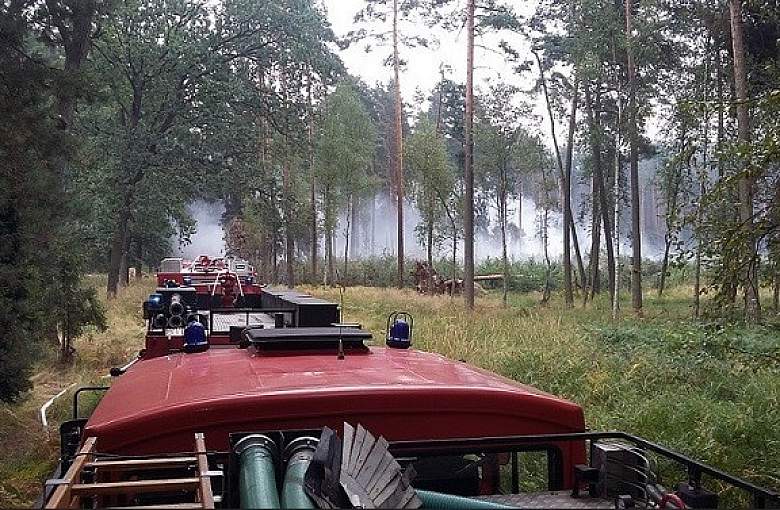 Najwyższy stopień zagrożenia pozarowego na terenie Nadleśnictwa Kobiór