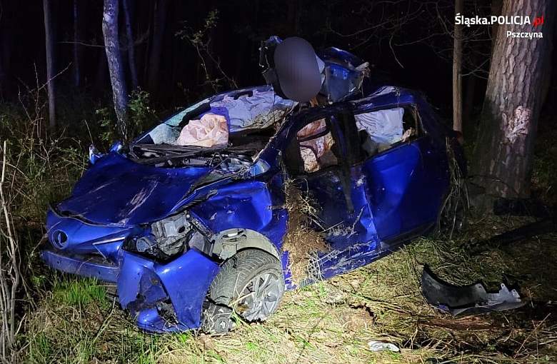 Kierująca samochodem zderzyła się z będącym na jezdni łosiem