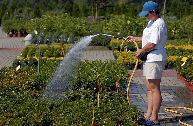 Powiat Pszczyński. Dwa ostrzeżenia meteo